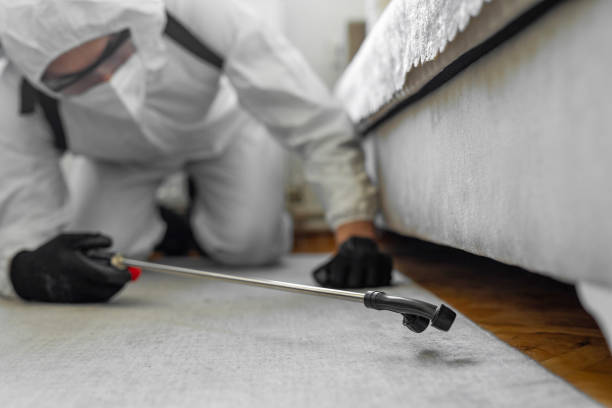Professional Cockroach Control technician working in Manchaca, TX